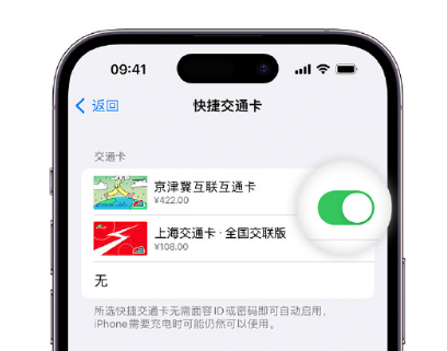 西夏apple维修点分享iPhone上更换Apple Pay快捷交通卡手绘卡面 