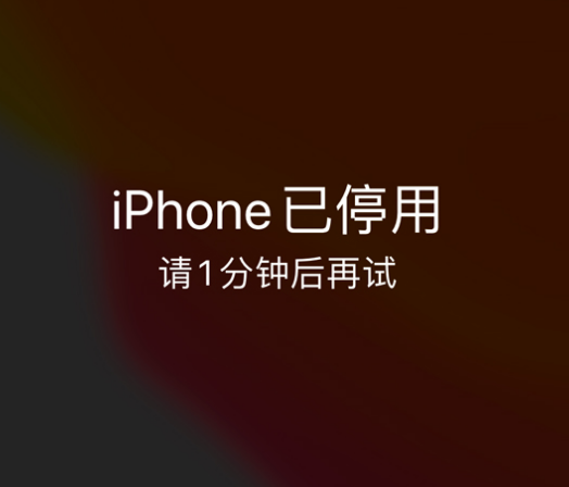 西夏苹果手机维修分享:iPhone 显示“不可用”或“已停用”怎么办？还能保留数据吗？ 