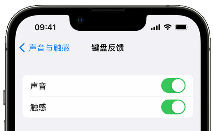 西夏苹果手机维修分享iPhone 14触感键盘使用方法 