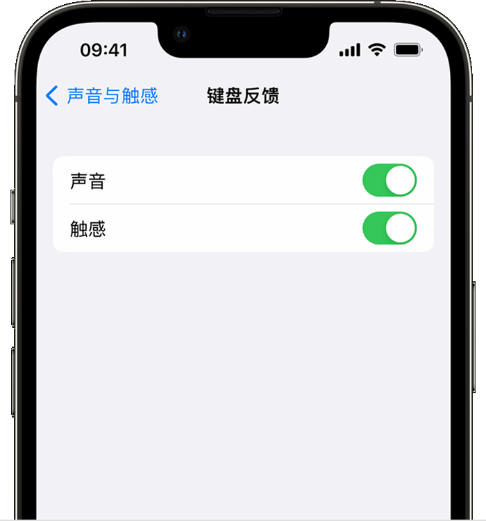 西夏苹果14维修店分享如何在 iPhone 14 机型中使用触感键盘 