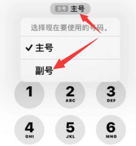 西夏苹果14维修店分享iPhone 14 Pro Max使用副卡打电话的方法 