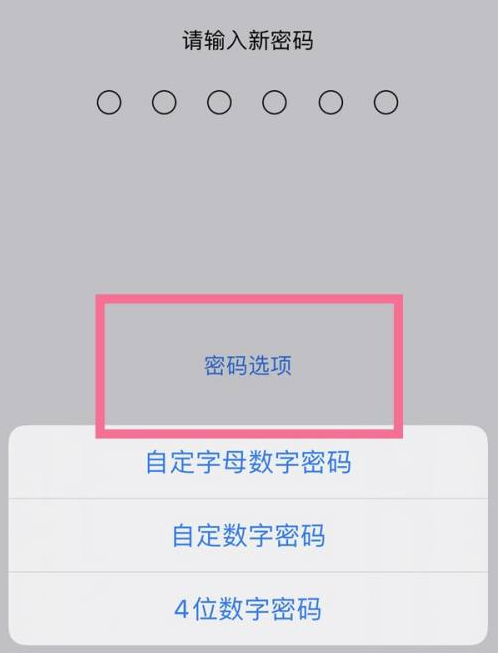 西夏苹果14维修分享iPhone 14plus设置密码的方法 