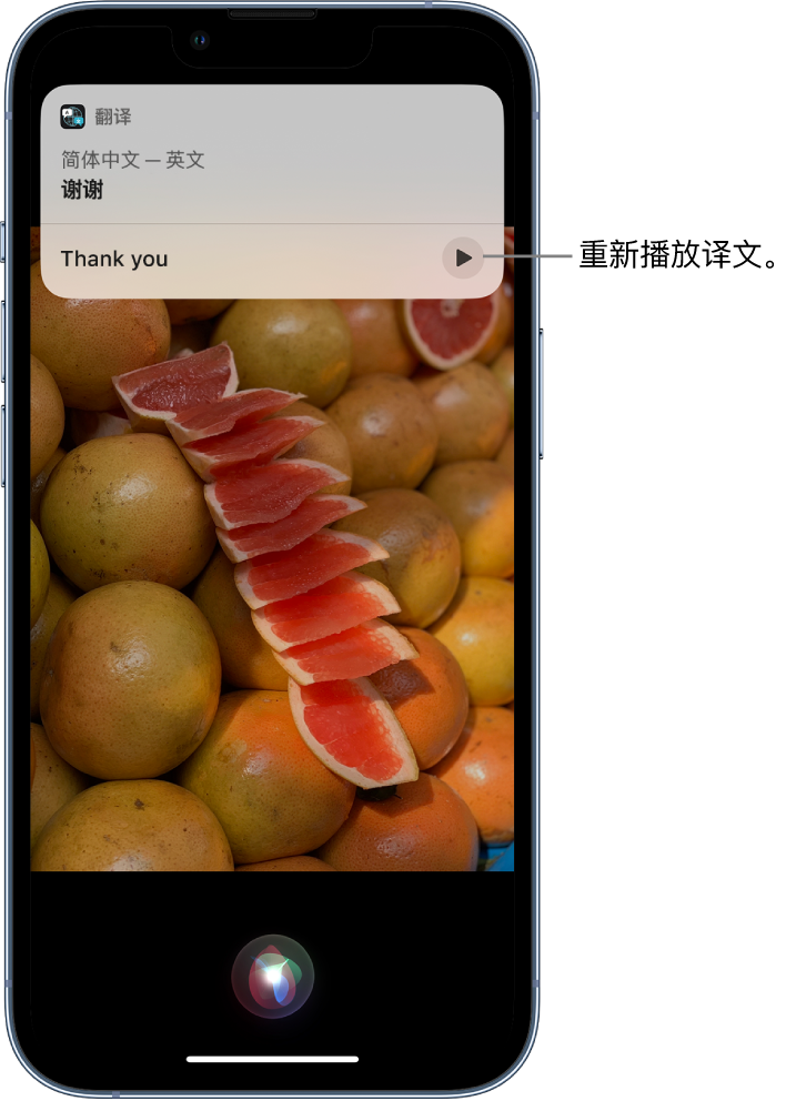 西夏苹果14维修分享 iPhone 14 机型中使用 Siri：了解 Siri 能帮你做什么 