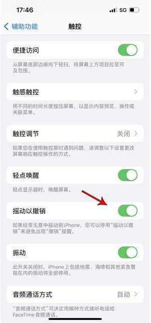 西夏苹果手机维修分享iPhone手机如何设置摇一摇删除文字 